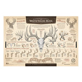 "The Growth And Maturity Of The White-Tailed Buck" Paper Print