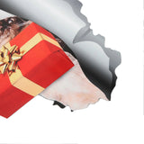 12664c0789afc8e29b2182ad8a37b969