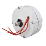 Permanent Magnet Generator Dual Shaft 3 Phase Alternator for Vertical Horizontal Wind Turbine 24V 100W