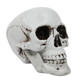 d94c43dea361b2c3d7b0a9f2bb6f73ce