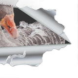 888bf1ef09f708668fe5fef30c296cb6