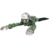 69d75b6be46fba7ed963d7baf9c50f8e