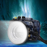 29501bb8afcf94a33afa1239dd178af0