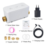 Smart Water Valve APP Remote Control Water Consumption Monitoring Water Pressure Flow Water Temperat