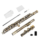 Good Quality Green Bronze 16 Hole Flute with Box Cleaning Cloth Stick Gloves for School Bands and Personal Practice