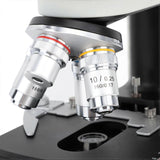 7759a69ae52dd958cf35c9db792a8224