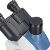 e3f19518d770b6ffd561284a601768c7