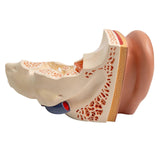 5e7d151f956190e10bedd68307b8e450