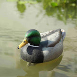 c2817ccffe7f46cea9c77050a672d9e3