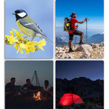 f2159b2b3c3f99617b826536f56391c9