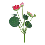 711008c7d27df06d252f7d448b5ccc34