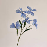 d4bc0cce7edc2c084ed2faf52f06dc57