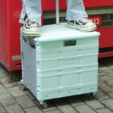 27598196badad65e0c18f6a5e9222a29