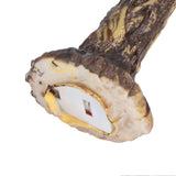 fa51f921c5f48e03f7f10cf1fa34a48e