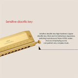 d26a992e0c364435718a818074741ad4