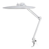 Led Lamp With Clamp For Home Office Nail Technicians Eu Plug  Uk White