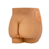 Human Hip Joint Intramuscular   Simulator Anatomical Model, Buttocks Care Puncture, Medical Teaching Resources