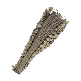 65bfedb4b730405cb4be01e446a52c8f