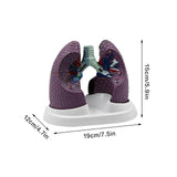 fe77a971bc1f60986deecdc458e98906