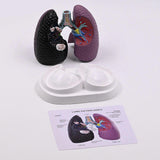 6557772668befae7d7378c12362c5d96