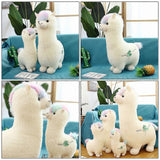 e44c283324711195a0c170ec6cc3abf8