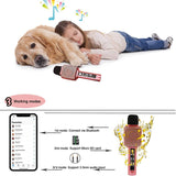 Children's Musical Microphone,with Bluetooth Speaker and Voice Converter is the Best Toy and Gift for Children