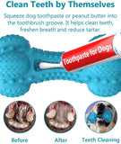 Rubber Dog Chew Dog Toys Toothbrush Teeth Cleaning Kong Dog Toy Pet Toothbrushes Brushing Stick Pet Toy Puppy Popular Toys
