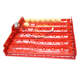 220V/110V/DC 12V Incubator Turn eggs tray Chicken Duck Goose Birds Compound Automatic incubator tray 41.7 x 43 cm