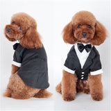 Gentleman Dogs Cat Costume Suit Tuxedo Formal Black Bow Tie Party Wedding Dress Apparel Jacket Clothes For Small Dog