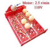 15 Eggs Mini Incubator Automatically Turn Eggs Tray 220V/110V/12V Laboratory Family Incubator Poultry Bird Incubator Equipment