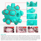 Outdoor Portable Tie Down Dog Pulling Rope with Bouncing Ball Rope Toy Practical Tie Up Pet Leash Peg Pet Supplies