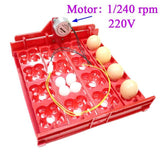 Quail Incubator 16 Eggs Or 64 Birds Eggs Automaticturn Eggs Tray Hand Incubator Accessories Laboratory Incubators