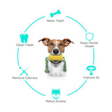 Rubber Dog Chew Toys Cotton Rope Corn Dog Toy Pet Toothbrushes Brushing Stick Puppy Popular Toys Safe Elasticity Pet Supplies