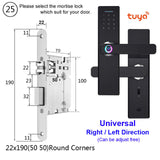 Wifi Tuya APP Electronic Door Lock Biometric Fingerprint 13.56mhz IC Card Password Mobile Phone Unlock Remotely Smart Home