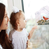 Acrylic Anti-squirrel Transparent Window Bird Feeder With Powerful Suction Cup And Detachable Sliding Tray