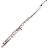 16 Holes C Key Western Concert Flute Nickel Plated Cupronickel Woodwind Instrument with Cleaning Cloth Stick Gloves Padded Bag