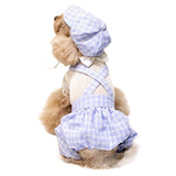 Summer Dog Clothes Jumpsuit Pants Hats Puppy Chihuahua Yorkshire Clothing Small Dog Costume Overalls Pomeranian Poodle Apparel