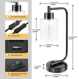 Industrial Nightstand Table Lamp E26 Bulb Dual USB Port,Iron Bedside Desk Night Lights for Bedroom Office Living,US Plug