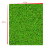 6x10ft Vinyl Pure White Wall Photography Background Green Grass Theme Scene Backdrop for Photo Studio Photocall Background Props