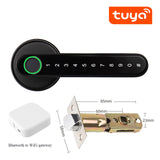 TTLock or Tuya APP Smart Remote Control Fingerprint Biometrics Lock Support Password Number Code Key