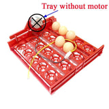 20 Egg Incubator Turn Eggs Tray Eggtester Automatically Turn The Eggs Experimental Teaching Equipment Voltage 220V / 110V / 12V