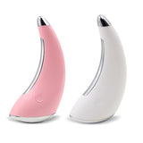 EMS Ion Beauty Instrument Multifunctional Electric Gua Sha Device Facial Lifting Slimming Remove Wrinkle Skin Rejuvenation Tool