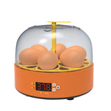 6 Eggs Children Experimental Eggs Incubator Chicken Incubator Eggs Hatching Machine Temperature Control Children Gift