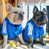 Designer Dog Clothes Small Medium-sized Chihuahua French Bulldog Sweatshirt Clothes Autumn Winter Fashion Zipper Pullover Jacket