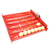 220V/110V/DC 12V Incubator Turn eggs tray Chicken Duck Goose Birds Compound Automatic incubator tray 41.7 x 43 cm