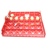 36 Eggs /144 Bird Eggs Duck Goose Pigeon Quail Automatic Incubator Incubation Equipment The Birds Poultry Incubator Equipment