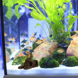 Aquarium Sphinx Statue Fish Tank Landscaping Decor Ornament Fish Tank Gnome Terrarium Reptile Tank Aquarium Decoration