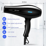 Powerful Professional Salon Hair Dryer Blow Dryer Electric Hairdryer Hot/Cold Wind with Air Collecting Nozzle D40