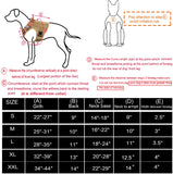 Tactical Dog Harness with 2X Metal Buckle Dog Walking Training molle Vest with Handle Hook and Loop Panels for Dog Patch