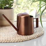 300ml With Handle Indoor Outdoor Simple Plants Pot Home Garden Easy Refill Ergonomic Design For Kids Stainless Steel Water Can